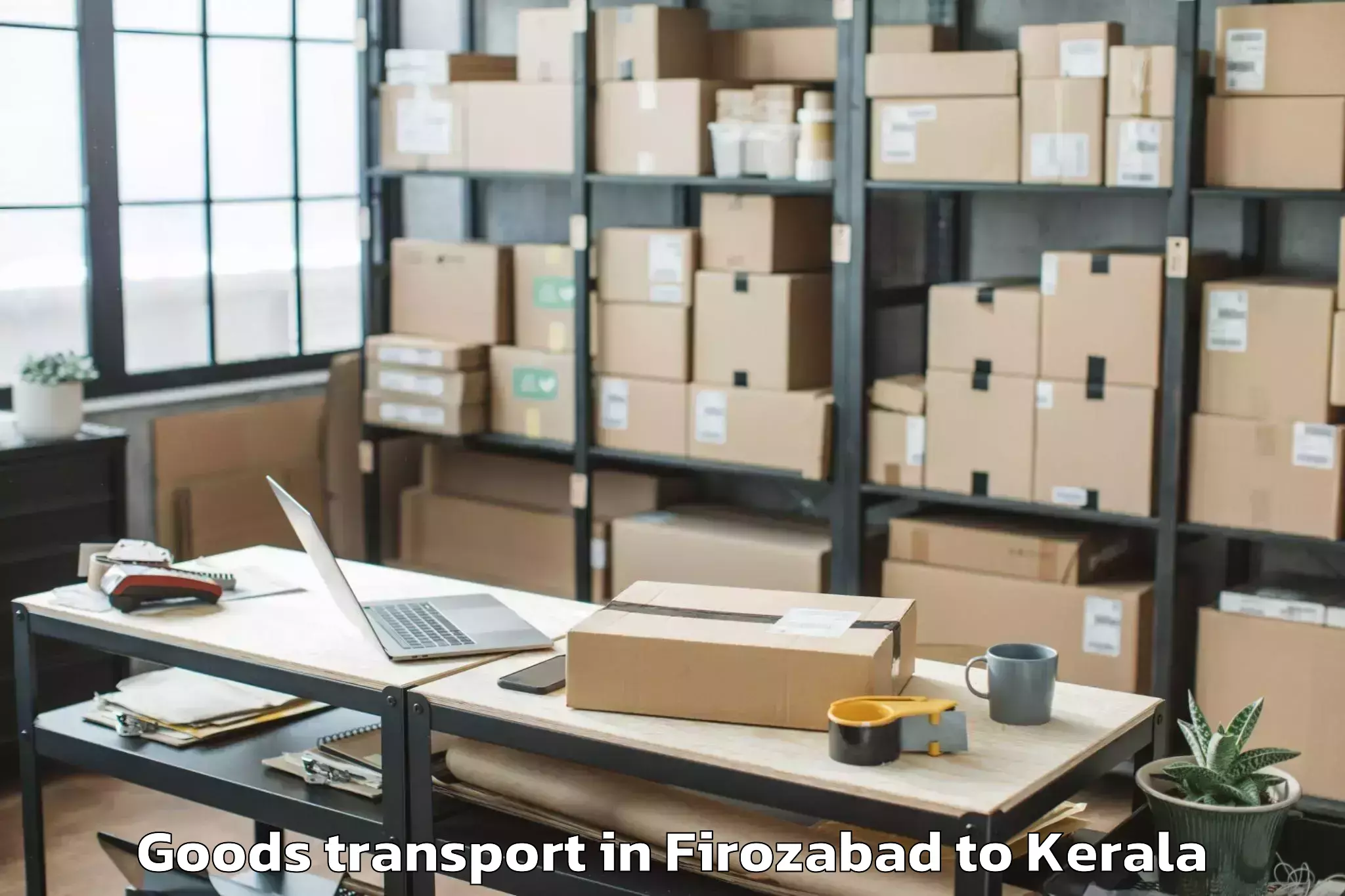 Affordable Firozabad to Thiruvananthapuram Internation Goods Transport